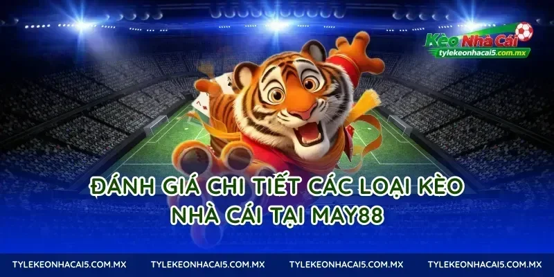 Đánh giá chi tiết các loại kèo nhà cái tại May88